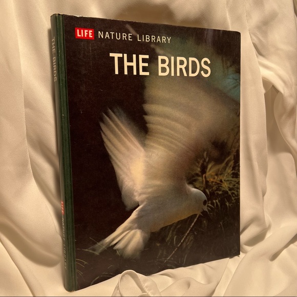 Life Nature Library Bird Book - Picture 3 of 6
